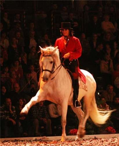 Auf dem großen Indoor-Reitparcours werden Reitvorführungen dargeboten. Reitsportmesse Koblenz