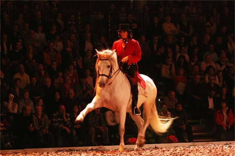 Auf dem großen Indoor-Reitparcours werden Reitvorführungen dargeboten. Reitsportmesse Koblenz