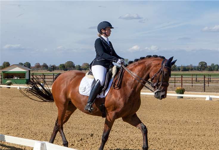 Auf dem neuen Dressurgeviert zeigten 400 Pferde und Reiterihr Können bei verschiedenen Dressurwettbewerben. Fotos: JOST