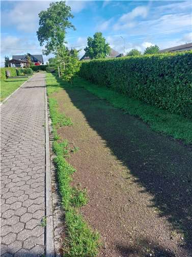 Auf dem neueren Friedhofsabschnitt ist ein längerer Rasenabschnitt bodenmäßig aufgearbeitet und mit Blühsamen versehen worden.  Fotos: OG Ochtendung