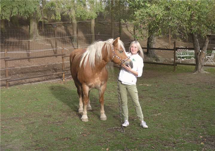 Pferd, Hund, Katze und alle Nagetiere werden liebevoll behandelt