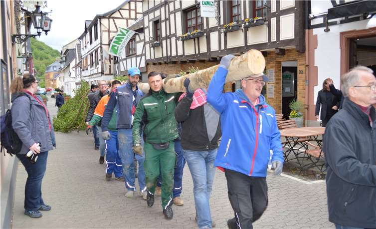 Auf den Schultern der Oberwinterer Junggesellen erreichte der prächtige Maibaum den Marktplatz. AB