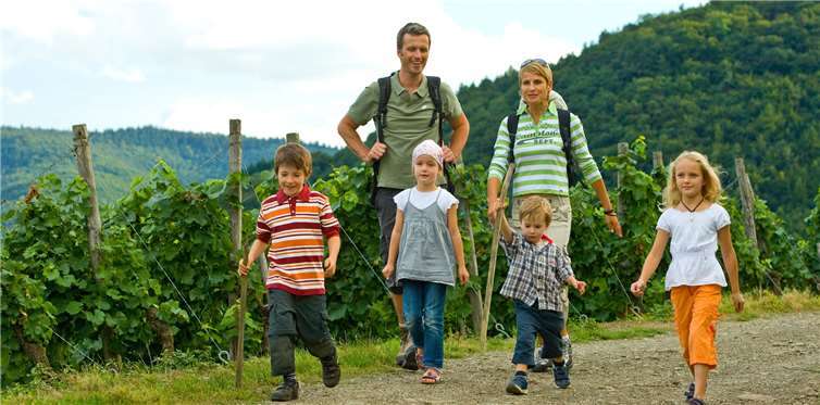 Auf den Spuren der Weinbergschnecke Lotta können Kinder die Arbeit der Winzer kennenlernen. Foto: Dominik Ketz