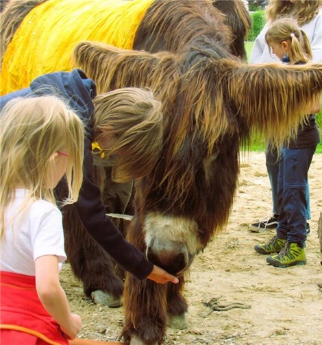 Auf den Touren gibt es immer sehr viel Schönes zu erleben.Foto: Markus Hartmann
