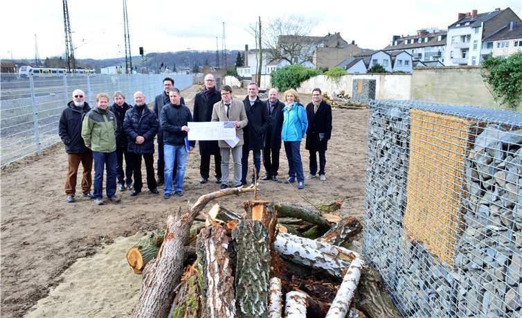 Auf der Ausgleichsfläche - hier trafen sich alle Beteiligten - gibt es für die Mauereidechsen Gabiolen und aufgeschichtete Stämme. HEP