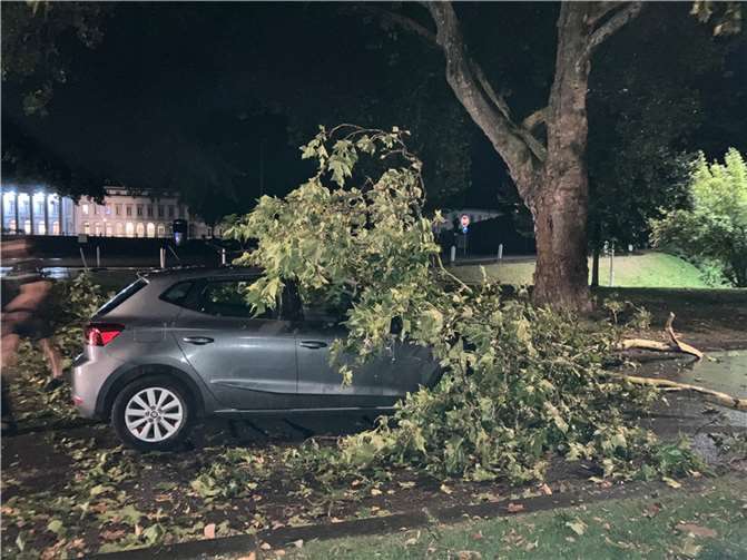 Auf der Neustadt direkt vor dem Schloss stürzten Äste einer Platane auf ein fahrendes Auto.  Foto: Stadt Koblenz / Verena Groß