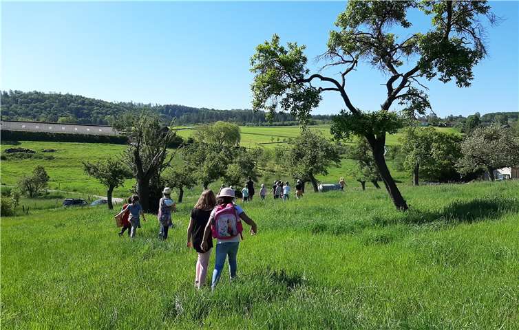Auf der Obstwiese gibt es viel zu entdecken und zu lernen. Foto: privat