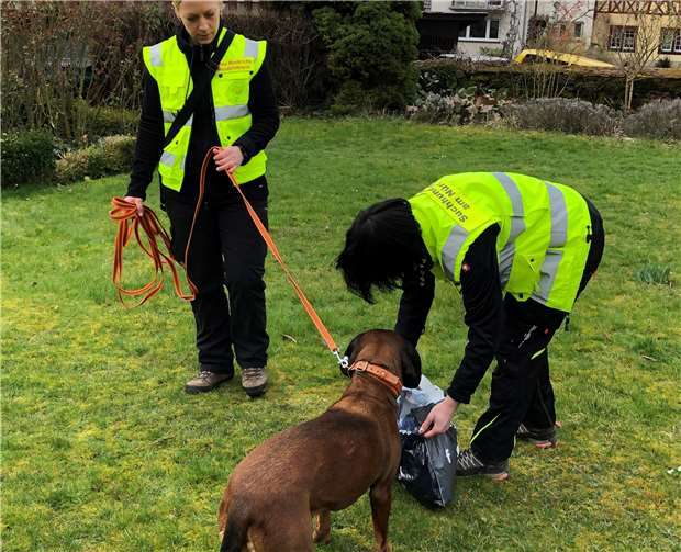 Auf der Suche nach Molly - wo könnte sie nur sein?