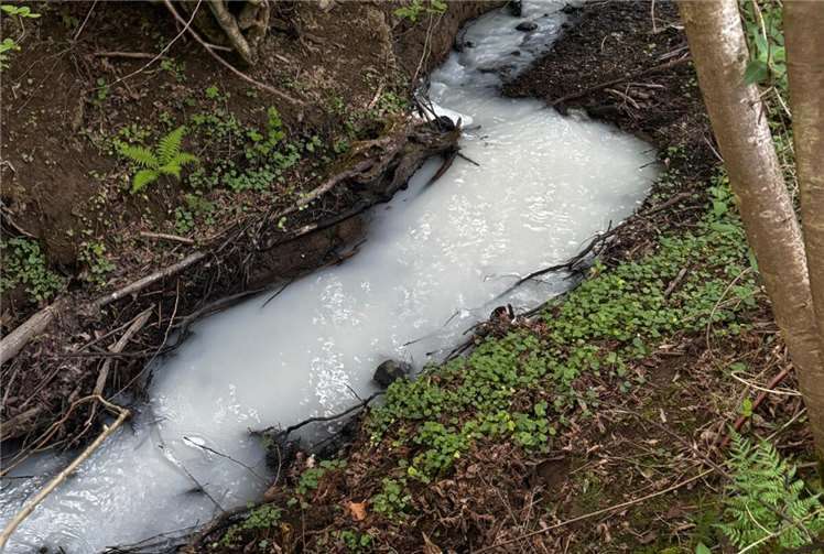 Auf der Wasseroberfläche hatte sich ein Schaum gebildet. Foto: Peter Schäfer/VG Rengsdorf-Waldbreitbach