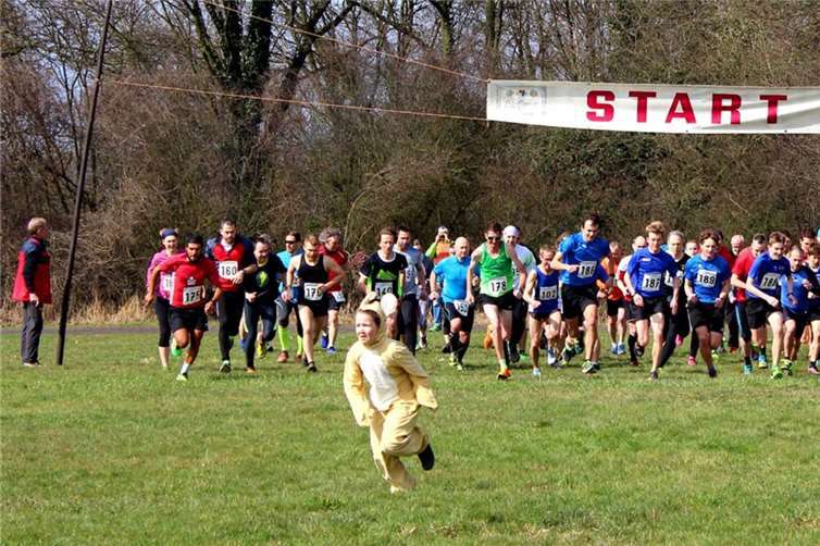 Auf der Wiese des Erpeler Ley-Plateaus flüchtetet Häschen Hannah am Ostersamstag vor den vielen Langstrecklern, die sich beim 41. Osterlauf des TuS Erpel bei idealem Laufwetter auf die 9.450 Meter der sechs Waldrunden machten. DL