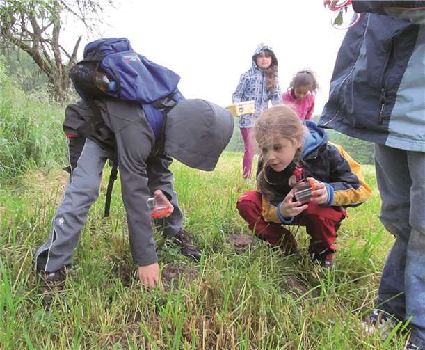 Auf der spät gemähten Wiese gab es jede Menge zu entdecken.  Privat