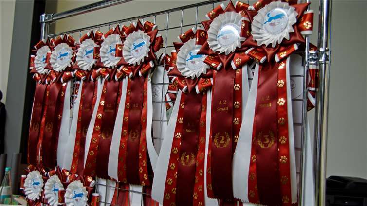 Auf die Sieger warteten Schleifen und Preise.