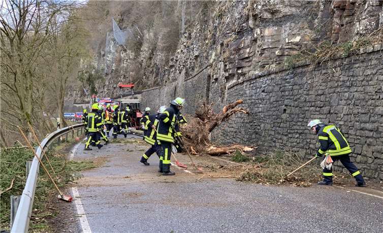 Auf die Straße herabgestürzte Bäume wurden von der Feuerwehr beseitigt. Fotos: Feuerwehren der Verbandsgemeinde Adenau