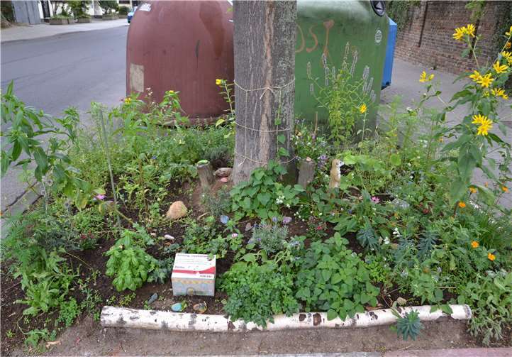 Auf einem Beet mit Patenschaft in der Kurfürstenstraße steht jetzt das erste Hinweisschild „Achtung, Insektenweide“.Quelle: Stadt Koblenz