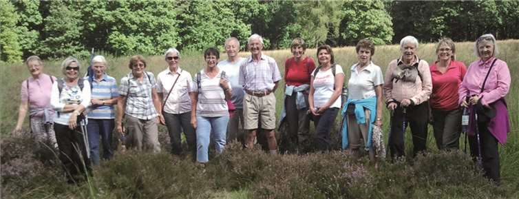Auf einer Lichtung blühte das Heidekraut.Privat