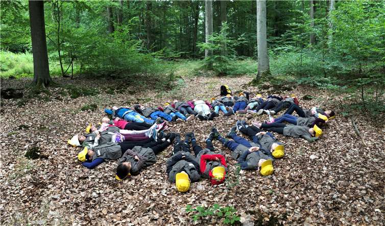 Auf einer Lichtung machen die Kinder Rast und legen sich auf den Waldboden, um die Vögel zwitschern zu hören und dabei den Himmel zu beobachten.
