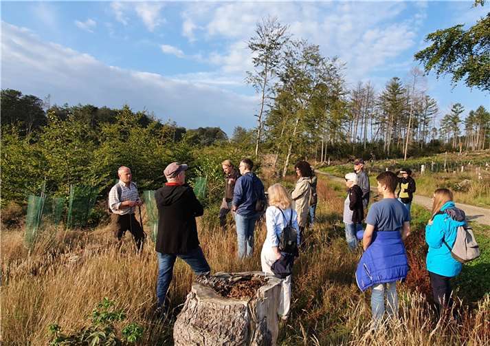 Auf einer durch Borkenkäferschäden entstandenen Kalamitätsfläche im Vallendarer Hinterwald stellen Revierleiter Achim Kern (1. v. l.) und Funktionsförster Jörg Parschau (3. v. l.) aktuelle Wiederbewaldungskonzepte vor. Foto: Landesforsten.RLP.de / Johannes Biwer