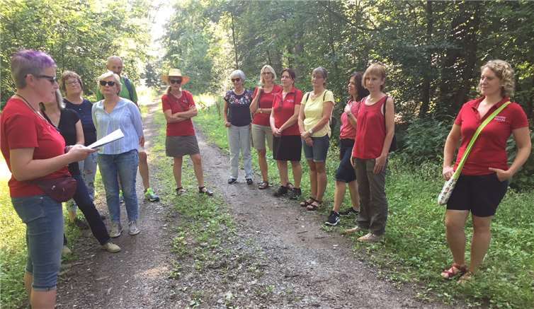 Auf einer malerischen Spazierstrecke durch den Wald um Holler herum trugen Anja Roos und die Mitarbeiterinnen der Bücherei Holler Geschichtliches von Holler und Umgebung und dazu passende literarische Texte vor Foto: privat