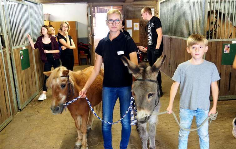 Auf geht’s für Esel „Camillo“ und Pony „Mäxchen“ in Richtung Streichelzoo.