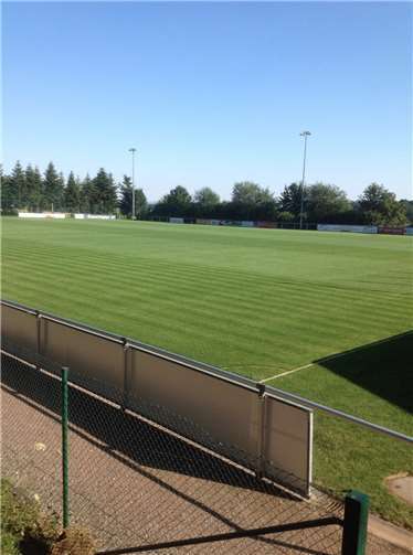 Auf gut erholtem Naturrasen findet die Partie statt. privat