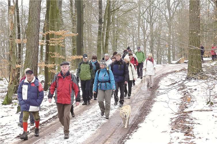 Auf ihrem Weg von Beilstein nach Bullay führte der Weg die Wanderer auch durch die verschneiten Wälder. privat