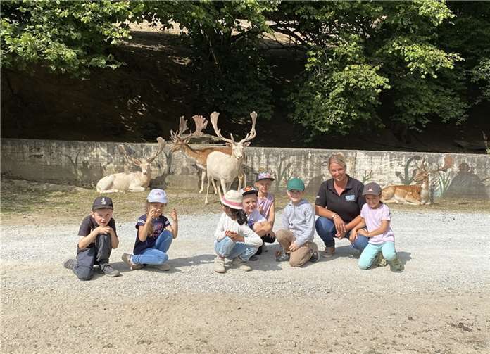 Auf ihrer Abschlusstour trafen die Vorschulkinder auf viele wilde Tiere. Fotos: Kita „Rambazamba“
