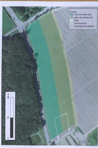 Auf rund 20 000 Quadratmetern entstehen verschieden besäte, inektenfreundliche Pflanzen.