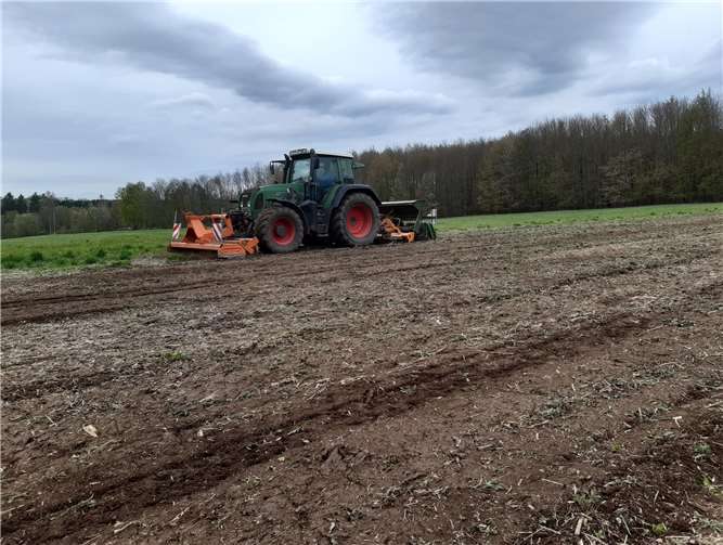 Auf rund einem Hektar hat die Gemeinde eine Blumenwiese angelegt. Foto: privat