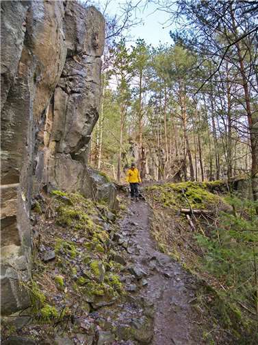 Auf schmalen Pfaden durch das Kottenheimer Winfeld.Copyright: Sven von Loga
