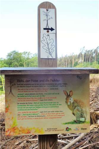 Auf zehn bunten Tafeln berichtet „Eichi“ vom Leben im Wald. Foto: Herbert Scholtes