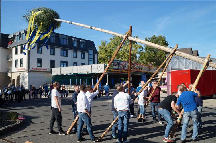 Aufgerichtet wird der Baum noch mit echter Muskelkraft.