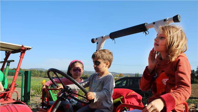 Aufgesessen: Auf dem Fahrersitz oder auf den Beifahrer-sitzen hoch im Traktor fühlten sich die Kleinen ganz groß.