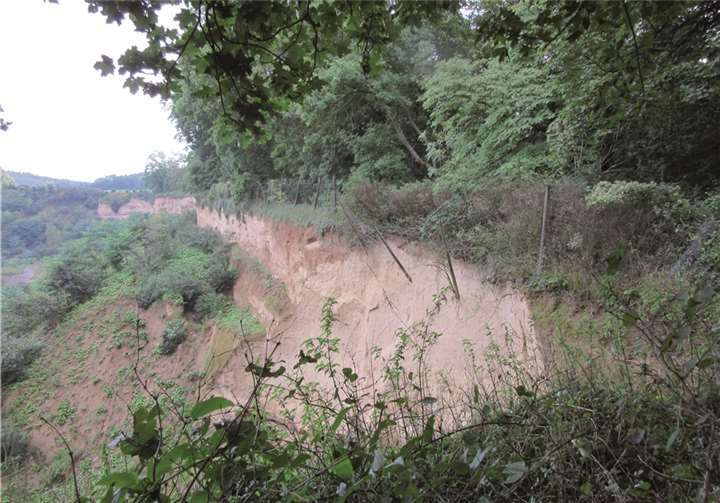 Aufgrund der Rutschungen und Abbrüche der Grubenböschung in der Kiesgrube Ariendorf wurde der Schutzzaun beschädigt. Der freiliegende Zaunabschnitt ist jedoch circa 20 Meter vom RheinSteig entfernt und durch dichten Bewuchs unzugänglich. Eine Sperrung des RheinSteigs ist nicht akut erforderlich. Kreisverwaltung