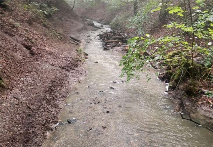 Aufgrund der außergewöhnlich starken Regenfälle stiegen die Wassermassen rapide an und rissen Geröll und Holz mit sich.