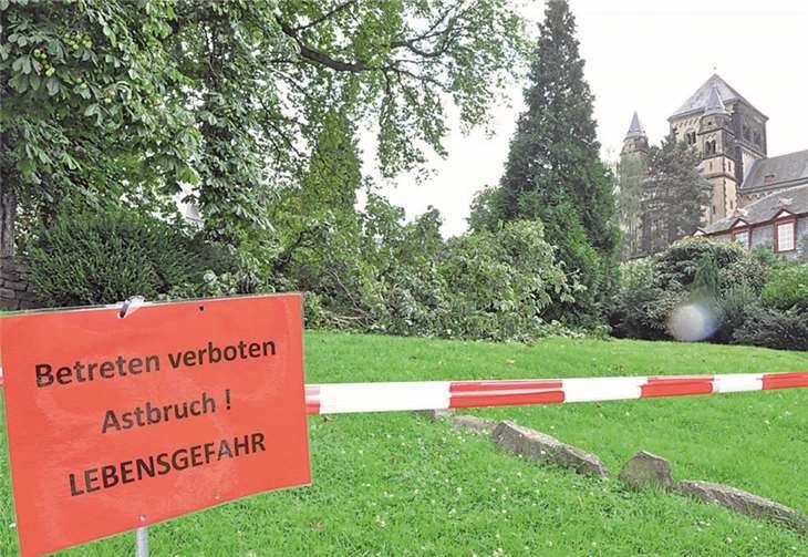 Aufgrund eines Astbruches bleibt das Gebiet unter den Kastanien im Rondellchen vorerst gesperrt.AB
