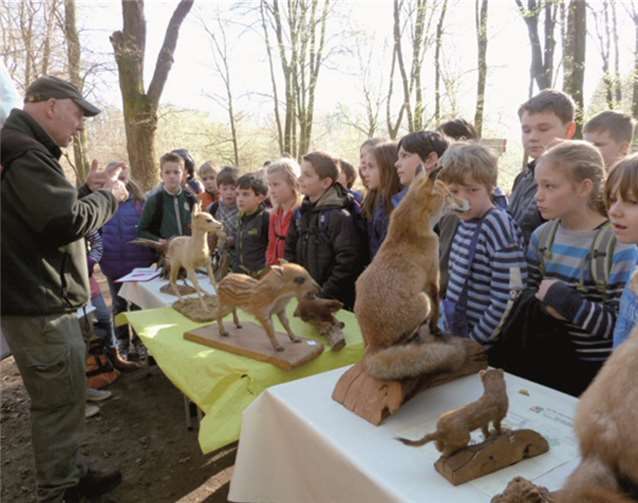 Aufmerksam hörten die Schüler den Ausführungen des Försters und des Waldpädagogen zu.privat