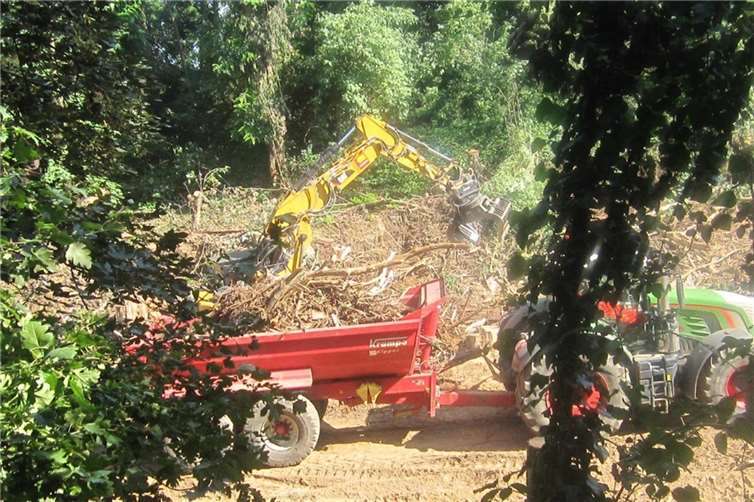 Aufräumarbeiten im Bachbett.