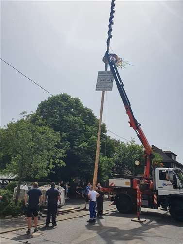 Aufstellen des Kirmesbaumes.