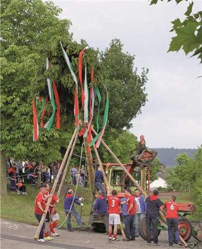Aufstellen des Wolkener Kirmesbaumes privat