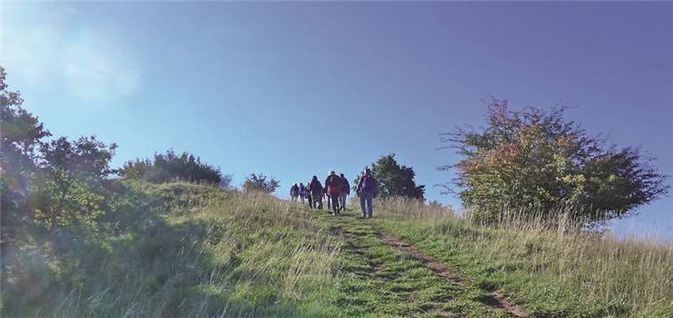 Aufstieg zum Ettringer Bellberg.