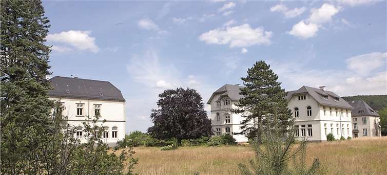 Aus der ehemaligen Weinbauschule in Walporzheim soll künftig der Firmensitz der medentis medical GmbH aus Dernau werden. Der Stadtrat brachte jetzt den dafür notwendigen Bebauungsplan auf den Weg. -JOST-