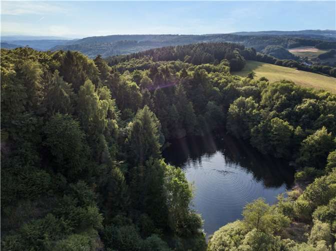 Ausblick Malberg See.  Copyright:Andreas Pacek - Touristik Verband Wiedtal