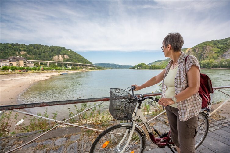 Ausblick direkt am Rheinradweg