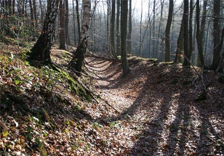 Ausbruchgraben der Eifelwasserleitung im Kottenforst bei Swisttal-Buschhoven Foto: K. Grewe