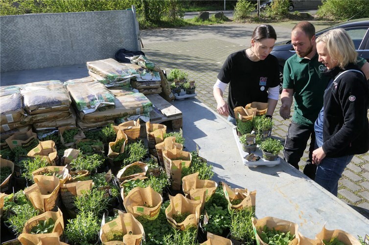 Ausgabe von Pflanzpaketen in Bad Neuenahr-Ahrweiler