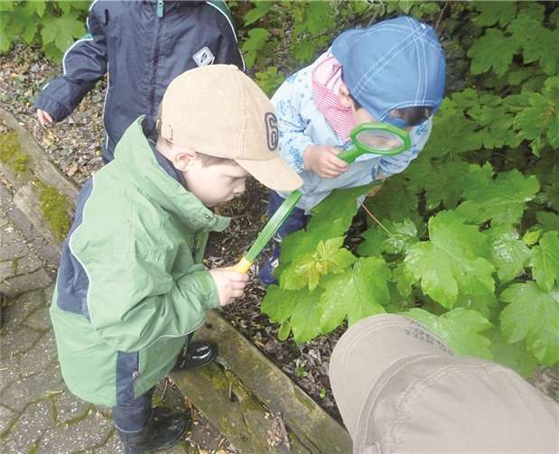 Ausgerüstet mit Lupen, Pinzetten und einem Tierlexikon machten sich die Kinder auf den Weg in den Wald.Privat