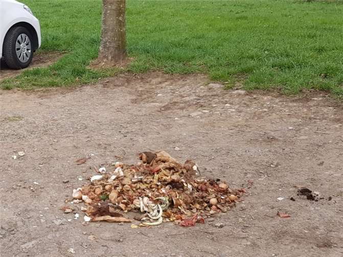 Ausgeschüttete Küchenabfälle in der Flur. Fotos: privat