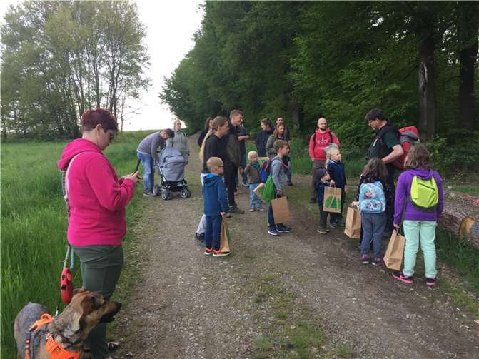 Ausgestattet mit einer großen Papiertüte sammelten die Kinder fleißig wichtige Waldutensilien (wie Blätter, Zapfen, Steine, Wurzelreste u.a.). Quellen: Diakonisches Werk