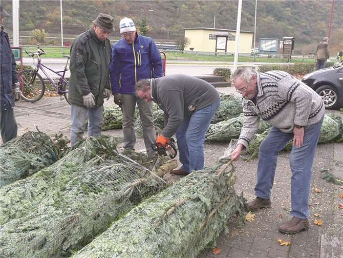 Ausreichend Tannenbäume sorgten für vorweihnachtliche Stimmung.privat