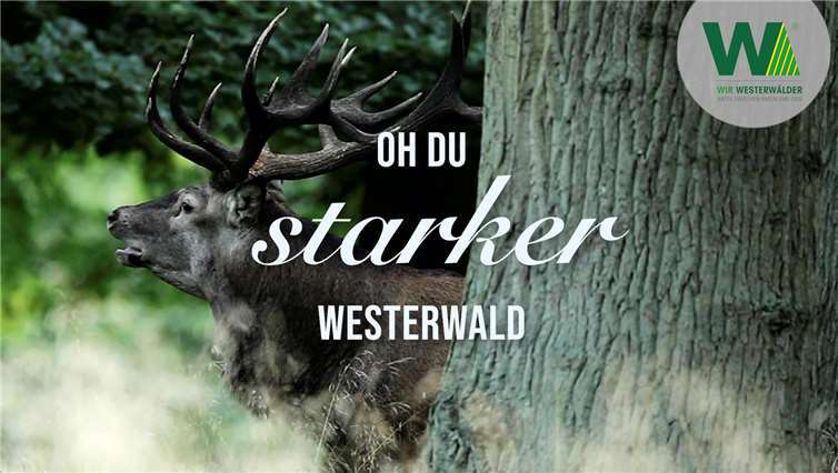 Ausschnitt aus dem neuen Imagefilm.